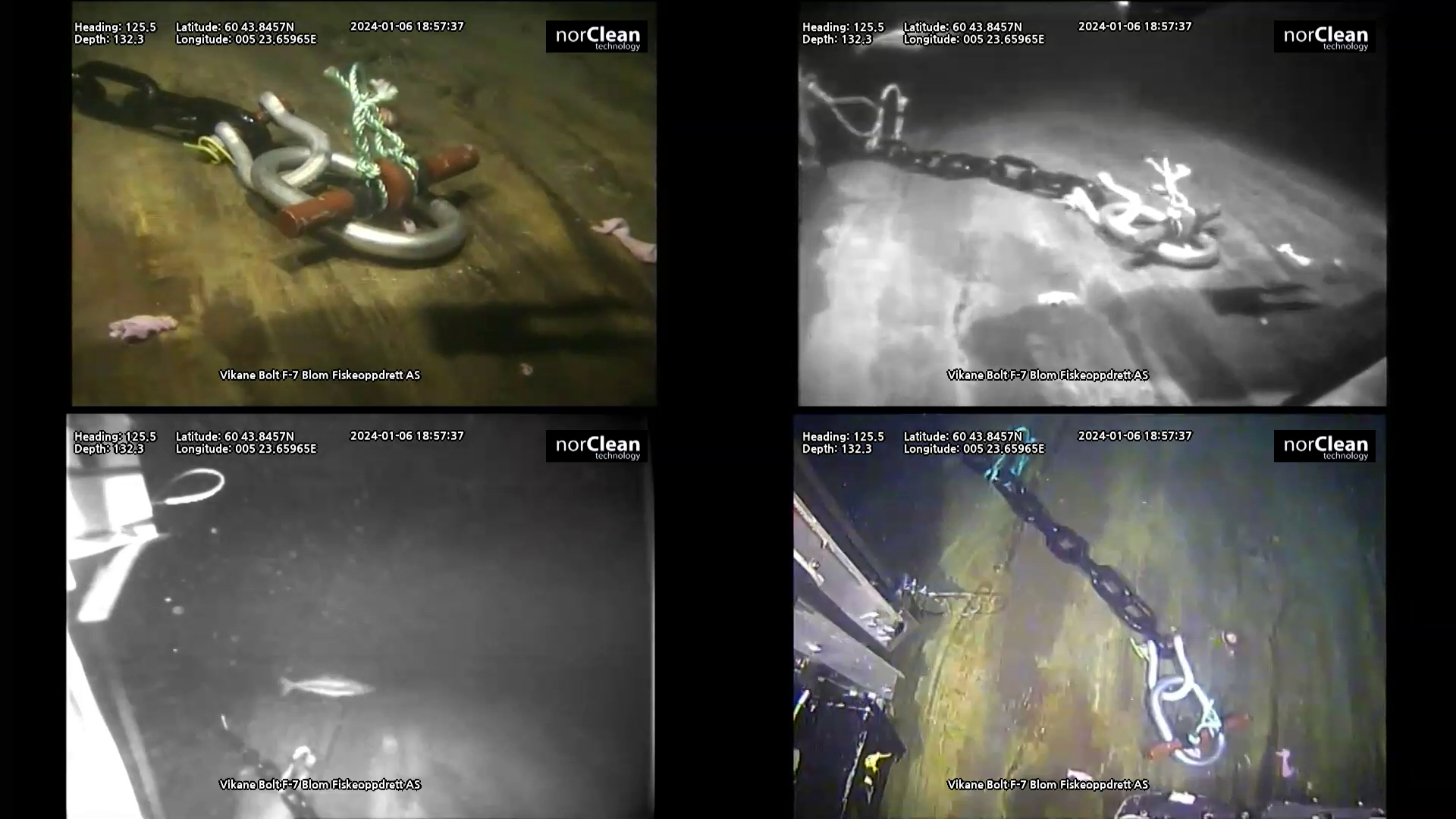 Four documented ROV views from NorClean's Vikane aquaculture operation in 2024